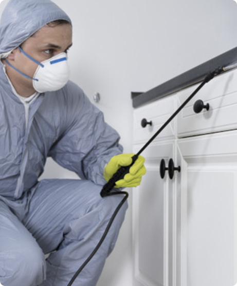 lady-cleaner